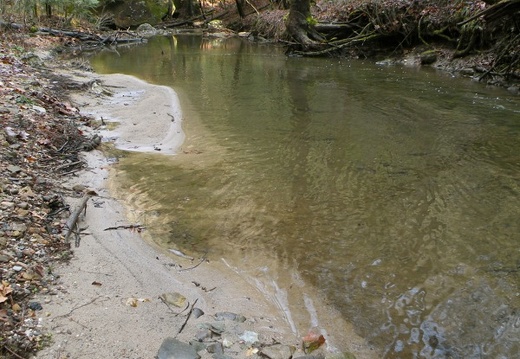 Chimney Top Creek - Koomer Ridge Trail - 3